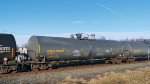 UTLX 212398